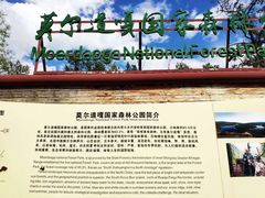 -莫尔道嘎国家森林公园
