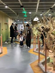 点击看大图 -七巧国萌宠乐园(龙湖天街店)