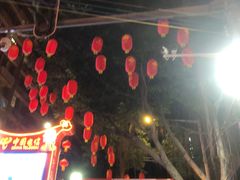 -越秀西湖花市(广州城市广场花卉店)