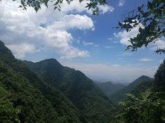 -旗山国家森林公园