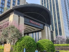 -济南喜来登酒店-盛宴自助西餐厅·综合自助