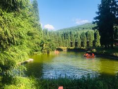 -武陵山森林公园