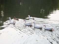 -西安汉城湖景区