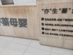 -Cocodemer女性健康·产后恢复(天一广场店)