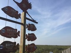 -北海金海湾红树林生态旅游区