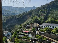 -心无尘茶餐馆(径山村店)