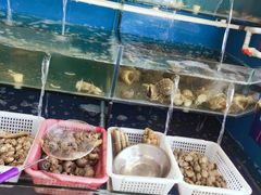-海景苑海鲜大酒店(吕四店)