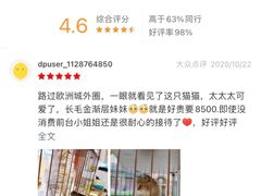 -诺诺宠屋(欧洲城店)