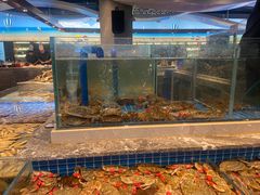 -一方渔歌蒸汽海鲜自助(文化路万达广场店)