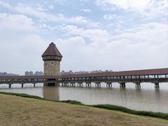 -九龙湖公园