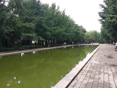 -玲珑塔公园