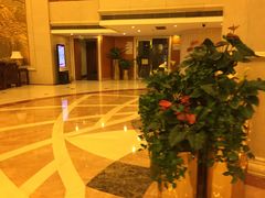 -成都绿洲大酒店(春熙路太古里店)