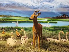 -中国湿地博物馆