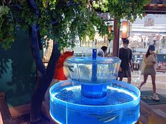 -佬麻雀·剁椒鱼头(京基KK One店)