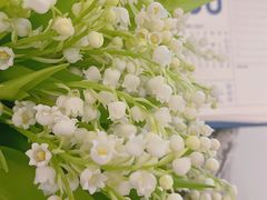 -花邻FloweringLife花艺气球派对(武康大楼店)
