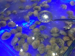 -银鲨海鲜烤肉火锅自助餐厅(五星店)