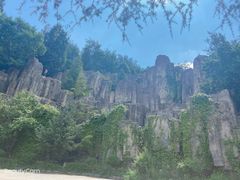 -长虫山生态公园风景林