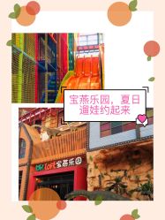 -宝燕乐园(闵行旗舰店)