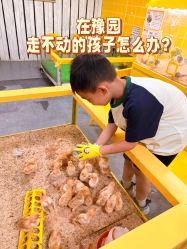 -神奇动物撸宠馆·羊驼·小浣熊·异宠(豫园店)