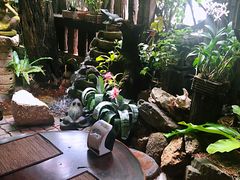 -自然餐厅(Phuket)