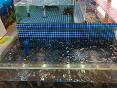 -红月湾海鲜饭店•沙滩海景(双月湾店)