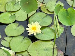 -昆山城市生态森林公园