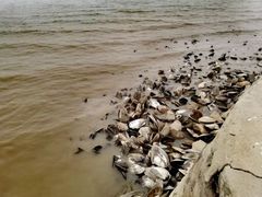 -嬉子湖生态旅游区