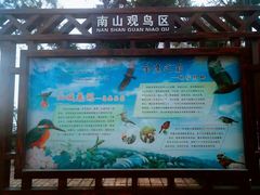 -大金鹰园