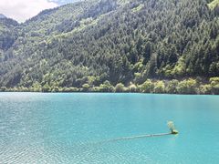 -九寨沟-树正沟