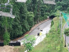 -圣淘沙天际线斜坡滑车