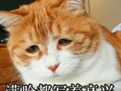 -龙颈河漂流