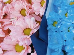 -循礼门鲜花花市(武汉循礼门店)