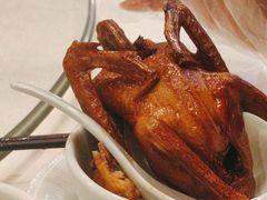 -五谷芳乳鸽王(梅沙老店)