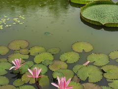 -国家植物园南园