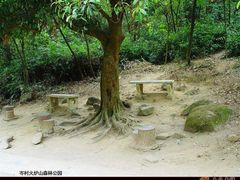 -火炉山森林公园