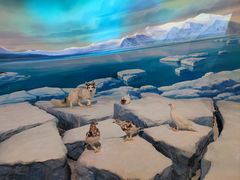 -陕西自然博物馆