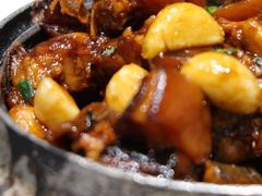 红烧膳筒猪尾-香雪海饭店中餐厅(人民桥店)