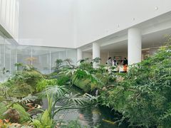 -罗红摄影艺术馆