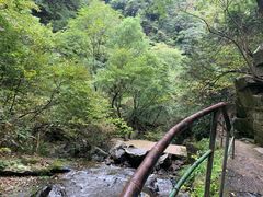 -藏龙百瀑风景区