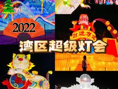 -欢乐海岸椰林沙滩-2025湾区超级灯会