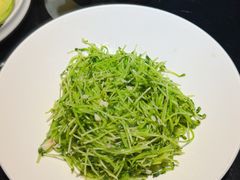 -兴隆·小隆台·温岭菜