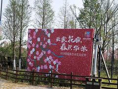 -田园东方蜜桃村的田野营地