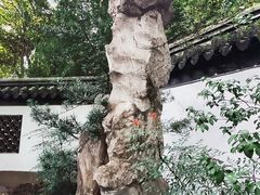 -汇龙潭