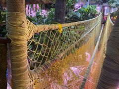 -正佳雨林生态植物园