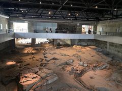 -自贡恐龙博物馆