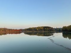 -昆山城市生态森林公园