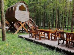 -黄海国家森林公园