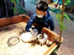 -酷嗒动物文化乐园(cutezoo西溪乐天城店)