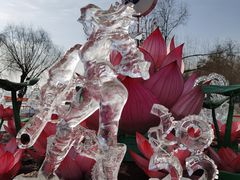 -长春市南湖公园