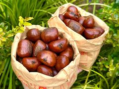 -高记桂花糖炒栗(鼓楼店)